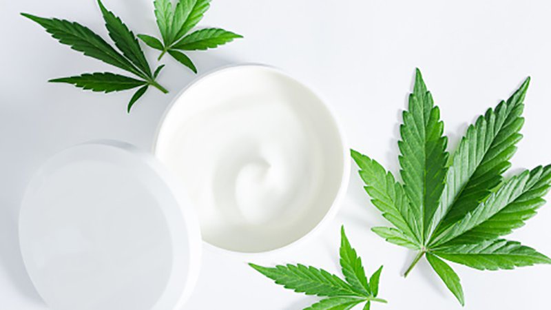 Вчені створили молоко з грибів та коноплі: чим воно корисне