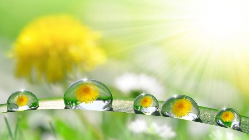 Короткочасні дощі та грози в низці областей: прогноз погоди на 27 травня