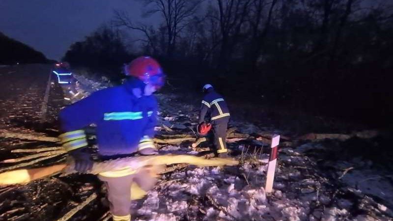 У Луцькому районі буревій повалив дерево на дорогу