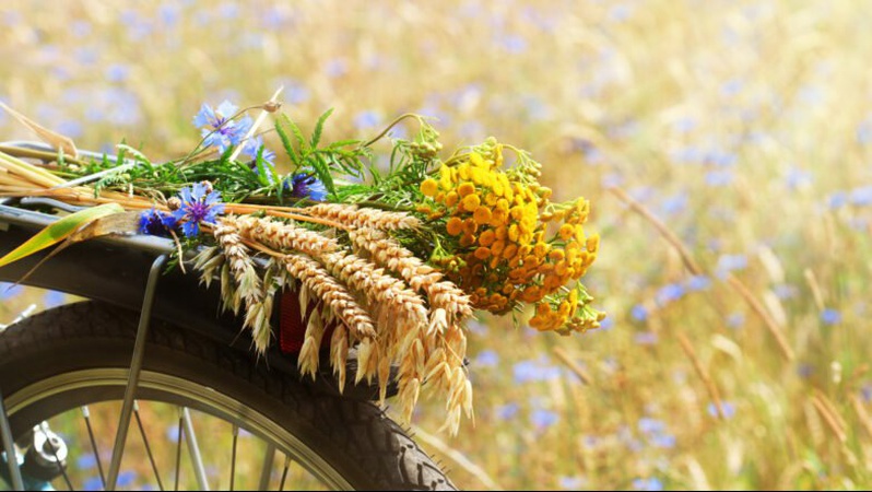 Спека, подекуди град і шквали: прогноз погоди на 6 серпня