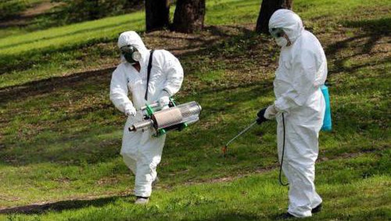 Центральний парк Луцька всю ніч обробляли від кліщів та комарів