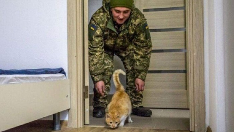 Військовим видаватимуть гроші на придбання власного житла