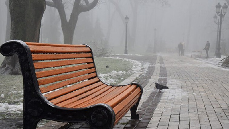 Туман, дощ зі снігом в низці областей: прогноз погоди на 11 лютого
