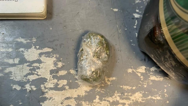 На Волині службовий пес «винюхав» марихуану, яку чоловік заховав у спідній білизні