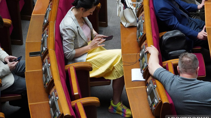 Нардепка «Слуги народу» прийшла в Раду в кросівках за космічну ціну. ФОТО