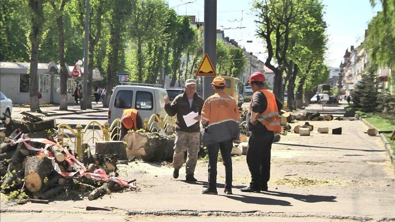 Понад 120 мільйонів хочуть витратити на розвиток і збереження зелених насаджень в Луцьку