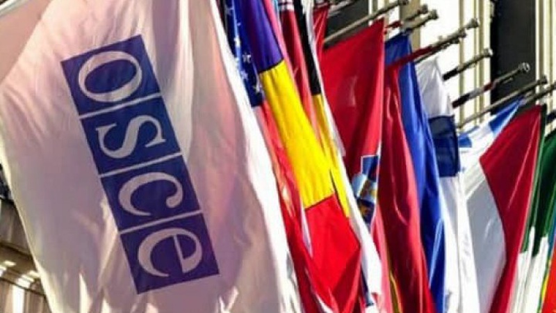 В ОБСЄ визнали дії росії геноцидом українського народу