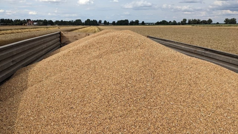 Міністр розповів, скільки зерна Україна перевозить транзитом через Польщу