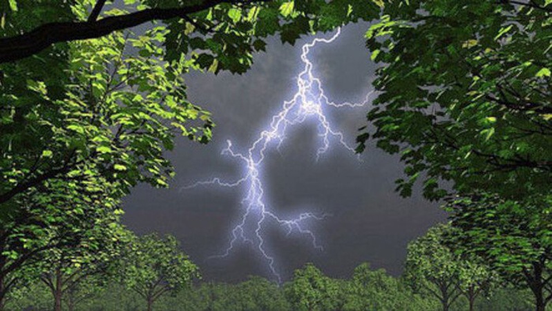 Негода в низці областей: синоптики дали прогноз погоди на 21 червня