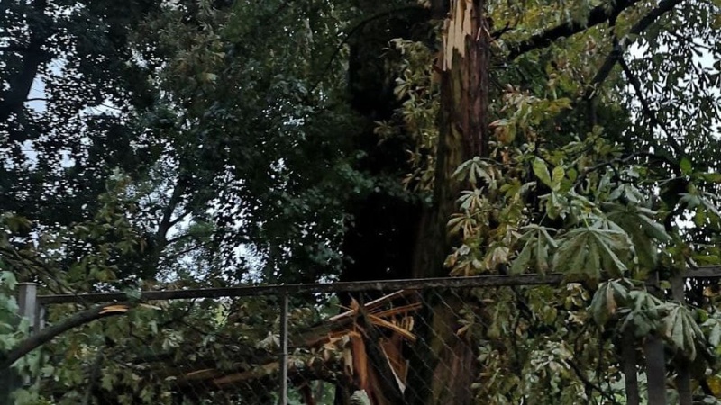 Ледь не змило моста, позривало дахи, побило урожай: на Рівненщині пронісся буревій