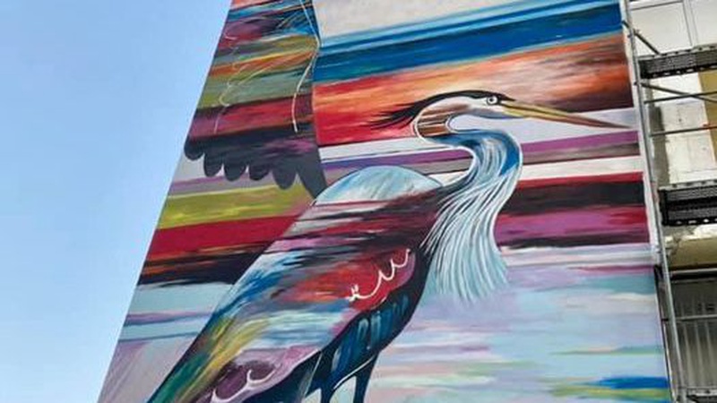 У Луцьку створили новий мурал на багатоповерхівці. ФОТО