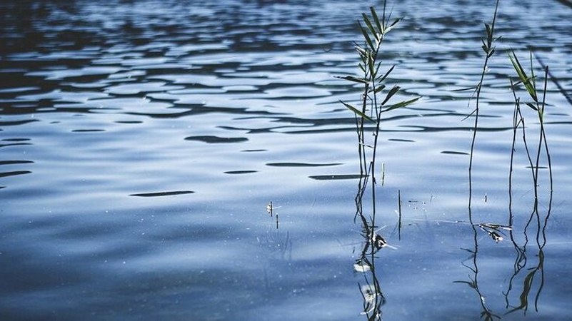 На Волині з водойми в готельно-ресторанному комплексі дістали потопельника