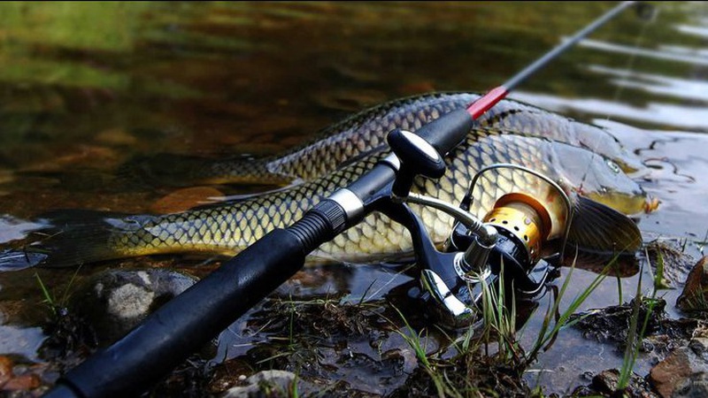 З 1 квітня на Волині не можна буде ловити рибу: список заборонених місць