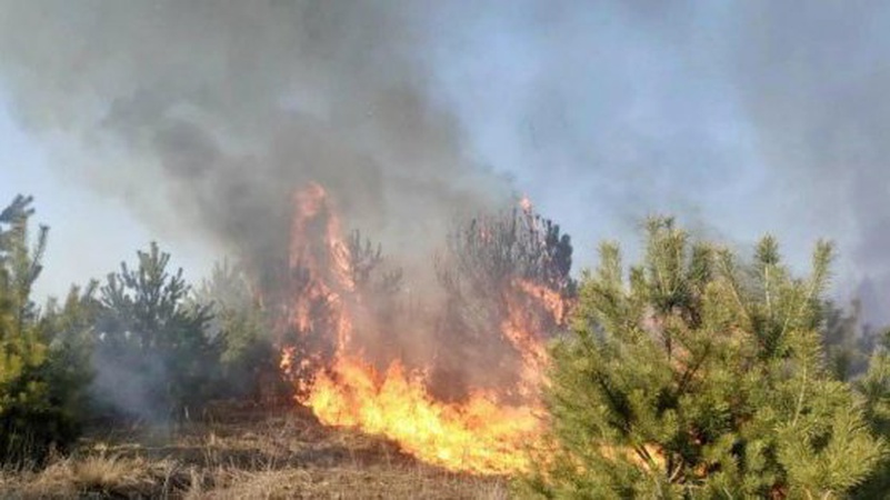 На всій території Волині заборонили ходити та їздити в ліс