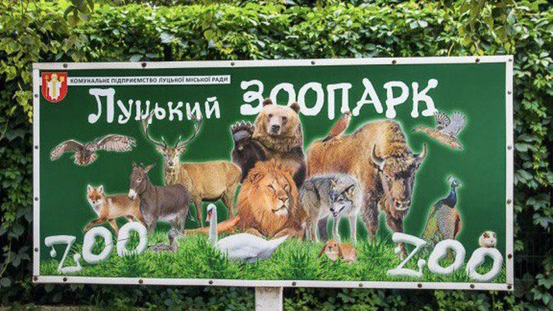 Працівника луцького зоопарку звинуватили у ворожнечі до дитини з аутизмом: реакція керівництва