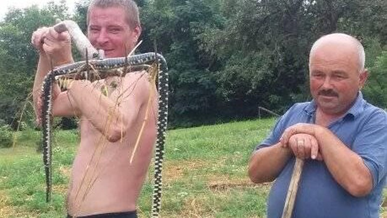 На Горохівщині знайшли мертвого плазуна. ФОТО