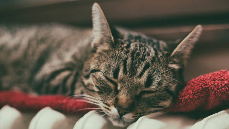 Незабаром буде тепло: у Луцьку заживили майже всі котельні