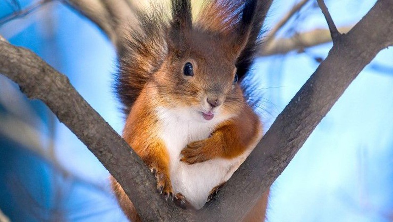 У Луцьку зафіксували новий температурний максимум