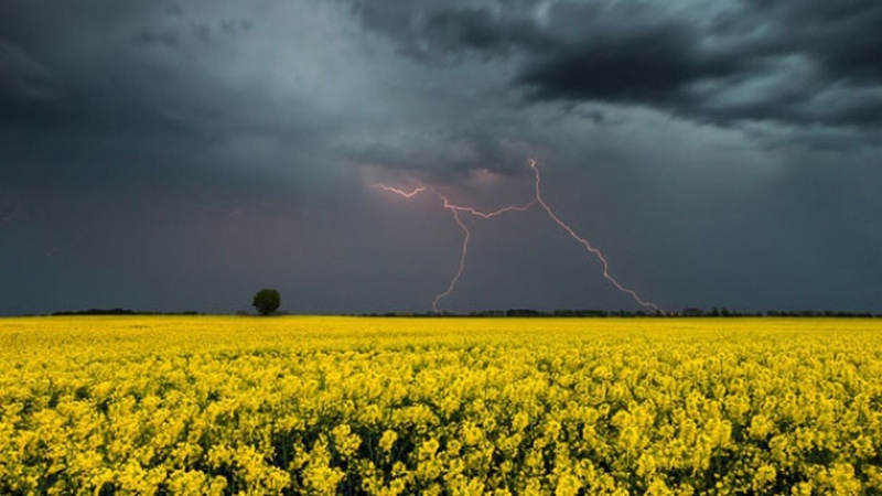 Мінлива хмарність, на заході короткочасні дощі та грози: прогноз погоди на 25 травня