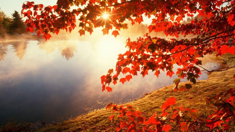 Яка погода очікується завтра, 19 жовтня