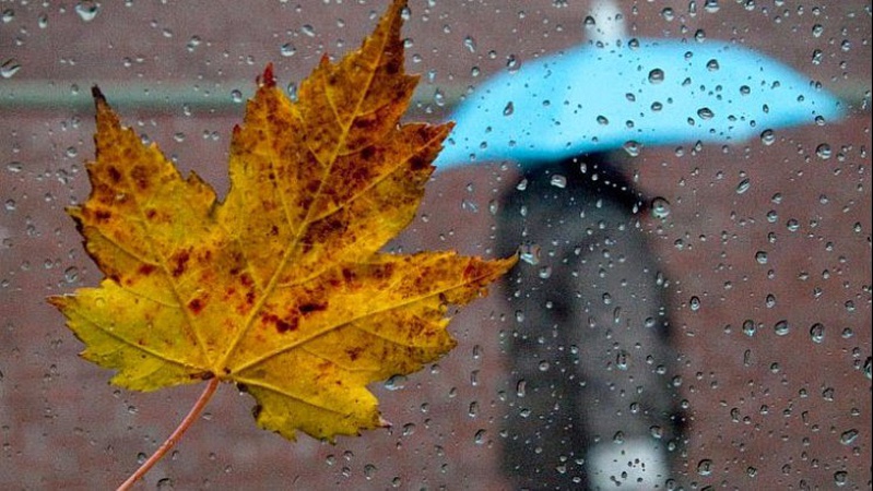 Яка погода очікується завтра, 12 жовтня