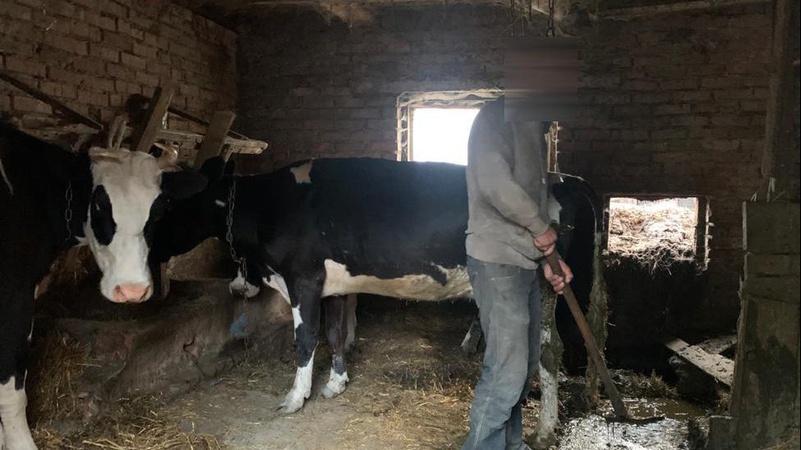 Один із трьох рабів волинської фермерки розповів свою історію на всю країну. ВІДЕО