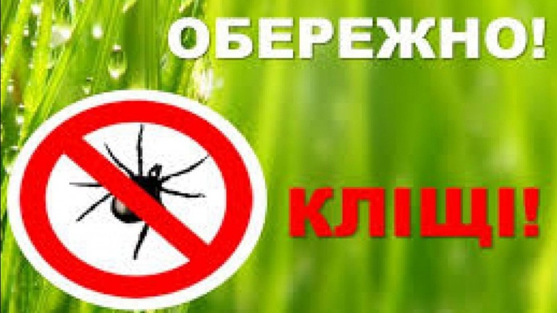 Сезон кліщів: на Волині зареєстрували цьогоріч 18 випадків хвороби Лайма