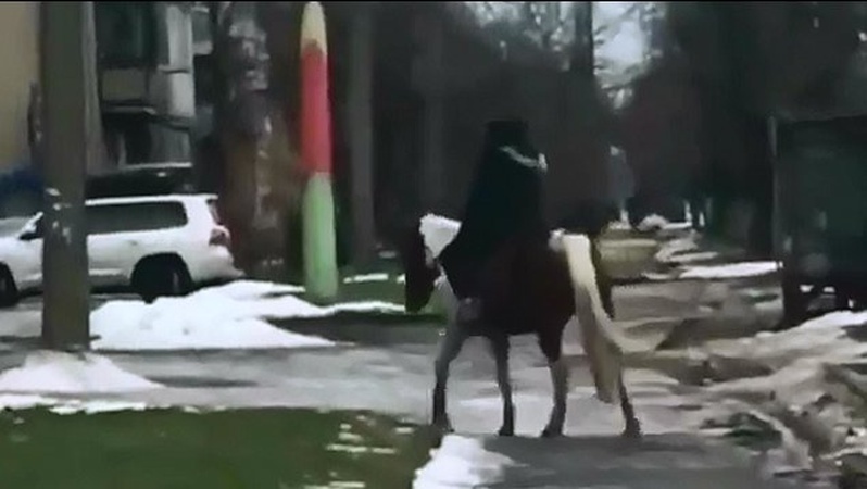 У Луцьку вершник на коні приїхав до магазину