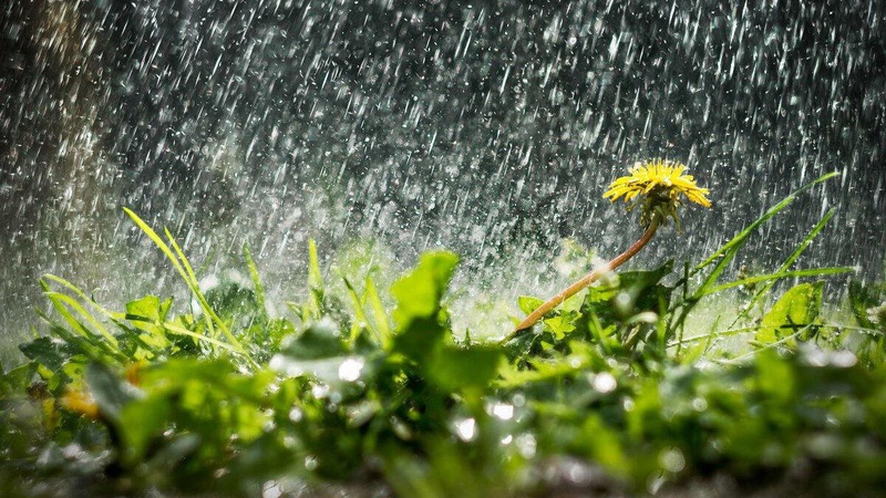 Тепло, місцями невеликий дощ: прогноз погоди на 3 травня