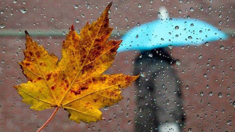 Хмарно з проясненнями, місцями дощ: прогноз погоди на 6 листопада