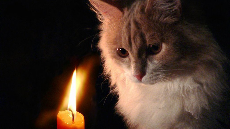 Де у Луцьку не буде світла завтра, 15 вересня