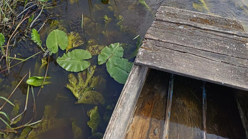 Волиняни скаржаться на забруднену воду в річці Турія