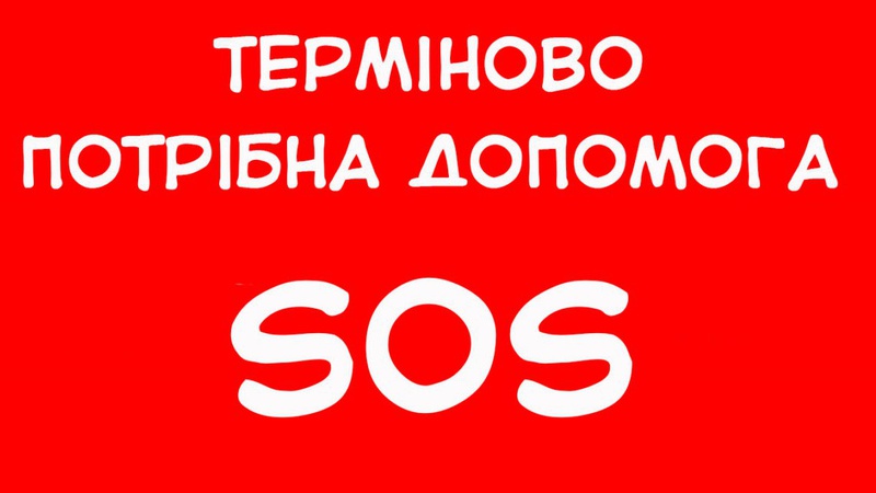 Без документів і з розбитою головою: зник киянин, який їхав автобусом до Польщі