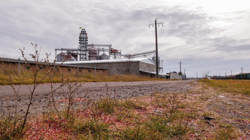 В Іваничах випав «рожевий сніг»