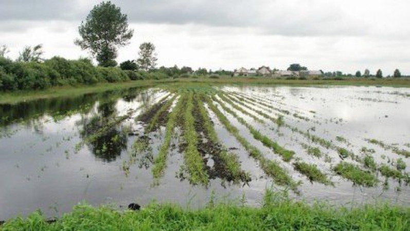 На Волині площі підтоплення зменшилися на 3 тисячі гектарів