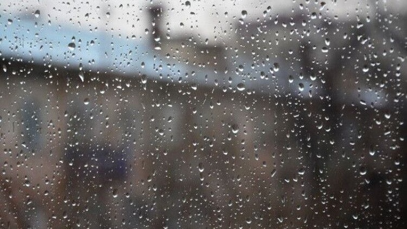 У Луцьку прогнозують сильні заморозки