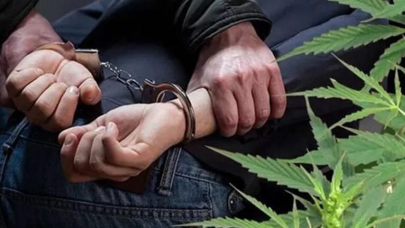 Волинянина судитимуть за незаконний збут канабісу