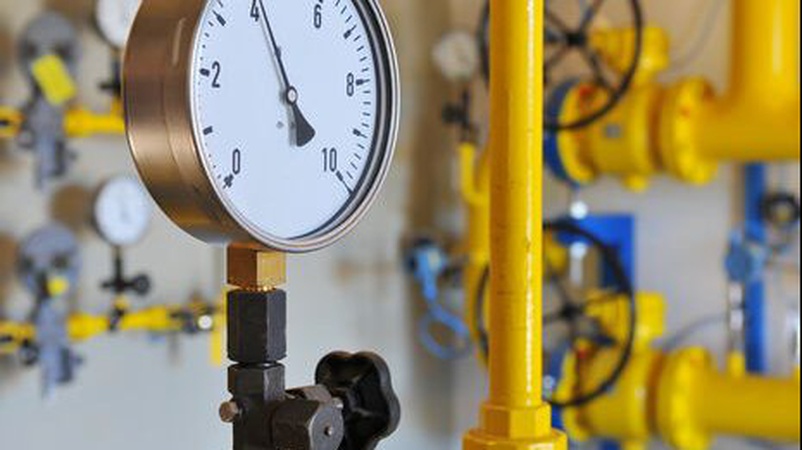 Компанія нардепа від «За майбутнє» для отримання «соціального» газу змінила вид діяльності на виробництво молока – ЗМІ