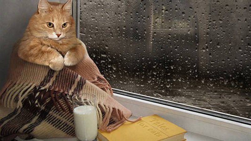 Можливі заморозки: метеорологи попереджають про зміни погоди протягом тижня