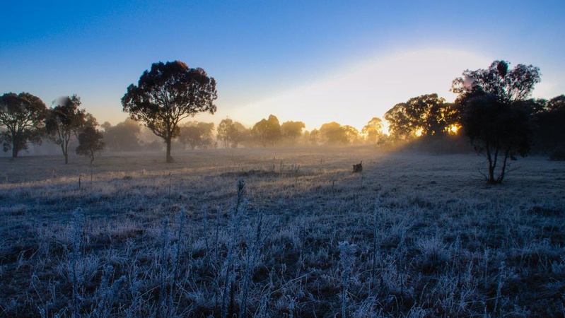 Народний синоптик попередив частину України про заморозки: названо дату