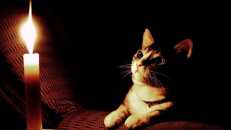 Де і коли на Волині не буде світла 31 січня. ГРАФІКИ