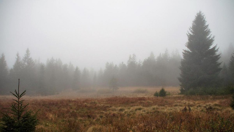 Погода в Україні: на завтра оголосили жовтий рівень небезпеки