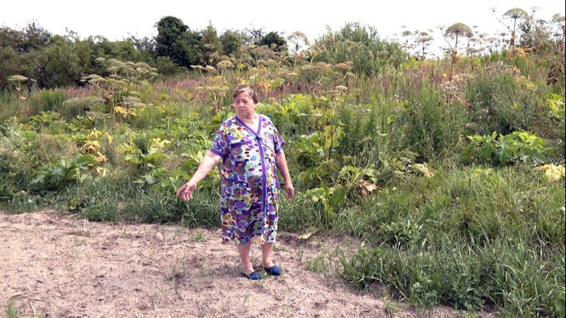 Села-привиди: на Волині – чотири безлюдних населених пункти