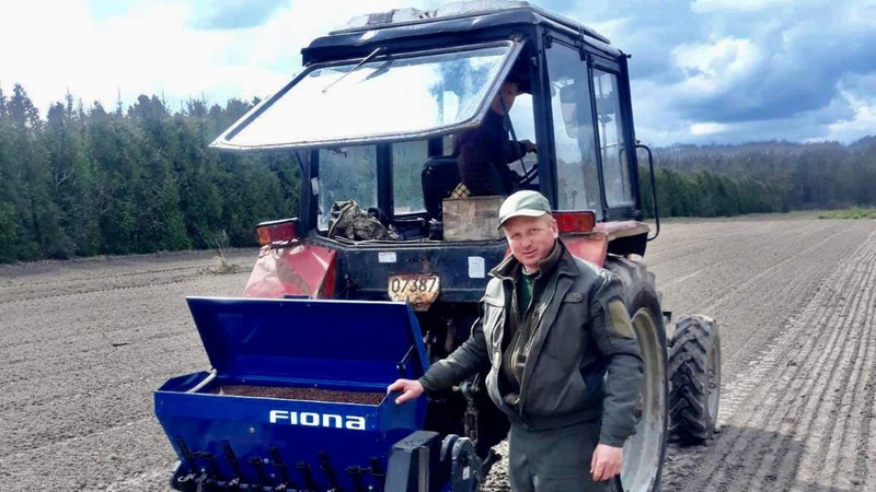 На Волині лісовим насінням засіяли понад 10 гектарів