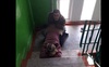 Волиняни потерпають від сусіда, який займається сексом в під’їзді. ФОТО 18+