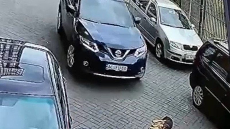 У Луцьку судять водійку, яка переїхала собаку біля «Яровиці»