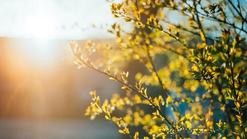 Вчорашня доба стала найтеплішою за останні 77 років метеоспостережень на Волині