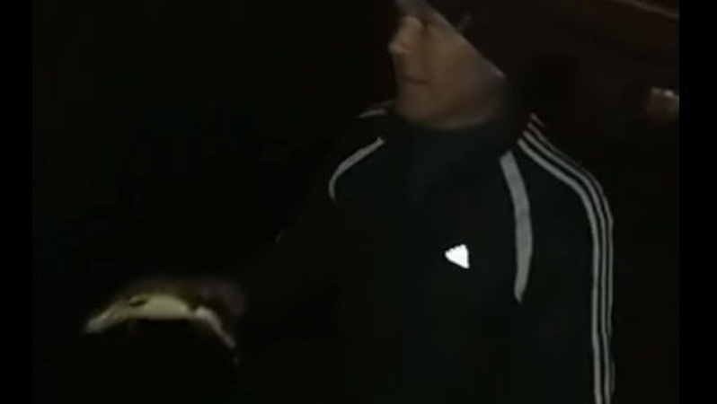 У центральному парку Луцька вночі чоловік ловив рибу. ВІДЕО