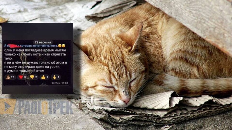 Шокуюча жорстокість: 13-річна дівчина з Рівненщини розчленувала кота