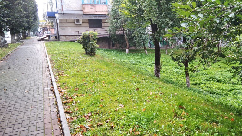 У Луцьку на проспекті Волі хочуть будувати чотири торгівельно-офісні центри. ФОТО